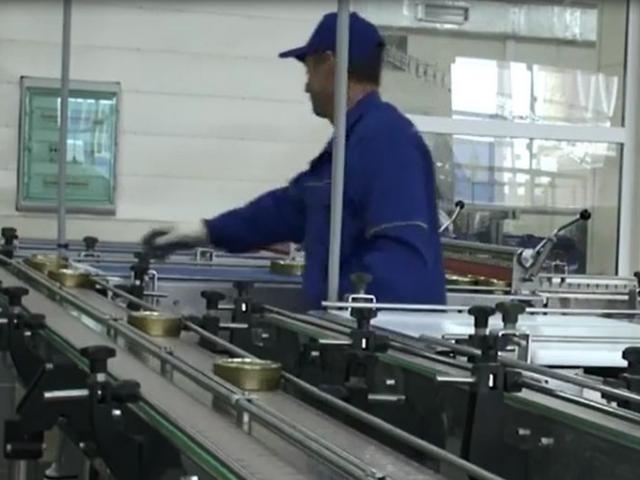 Транспортер пластинчатый (Универсальный) в Обояне